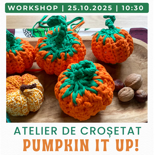 ATELIER DE CROȘETAT DOVLECI | Începători | 25.10.2025