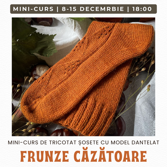 MINI-CURS | ȘOSETE "Frunze Căzătoare" | INTERMEDIARI |  8-15 decembrie