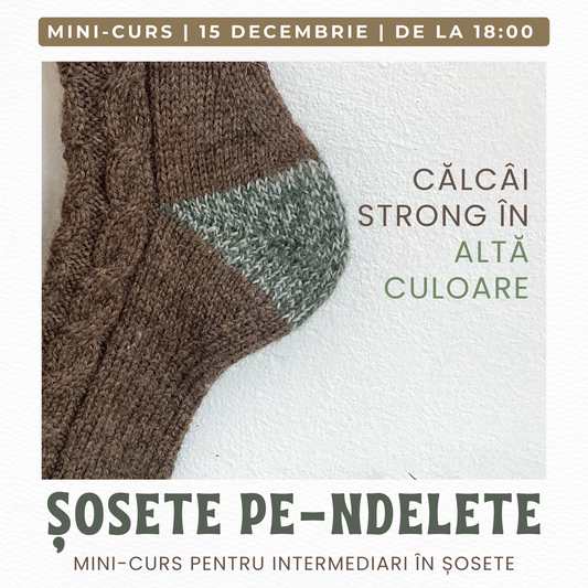 MINI-CURS | CĂLCÂI STRONG HYBRID COLORAT | INTERMEDIARI | 15 decembrie