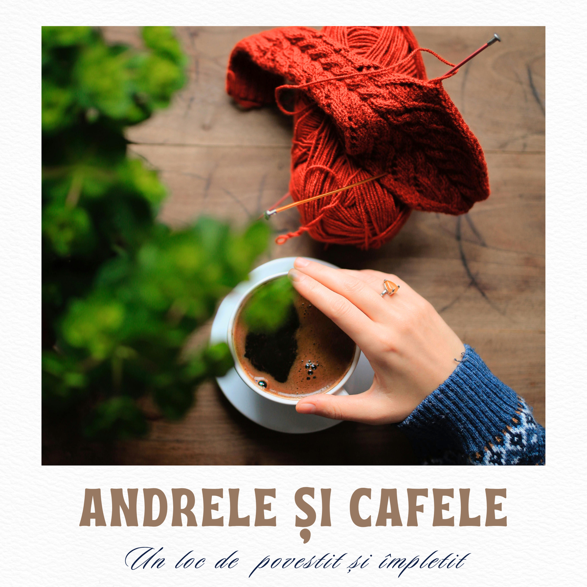 ȘEZĂTOARE | ANDRELE ȘI CAFELE | 14.11.2026, 10:30